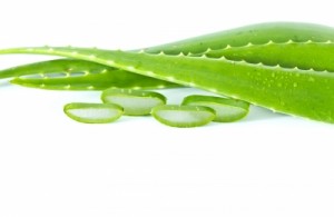 does aloe vera drink help acne