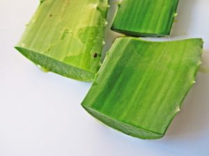 Why Aloe is Your Best bet for Good Health