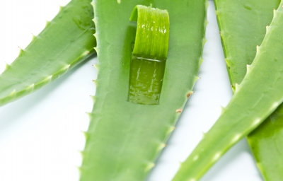 Aloe Vera Juice Benefits from Diet to Digestion