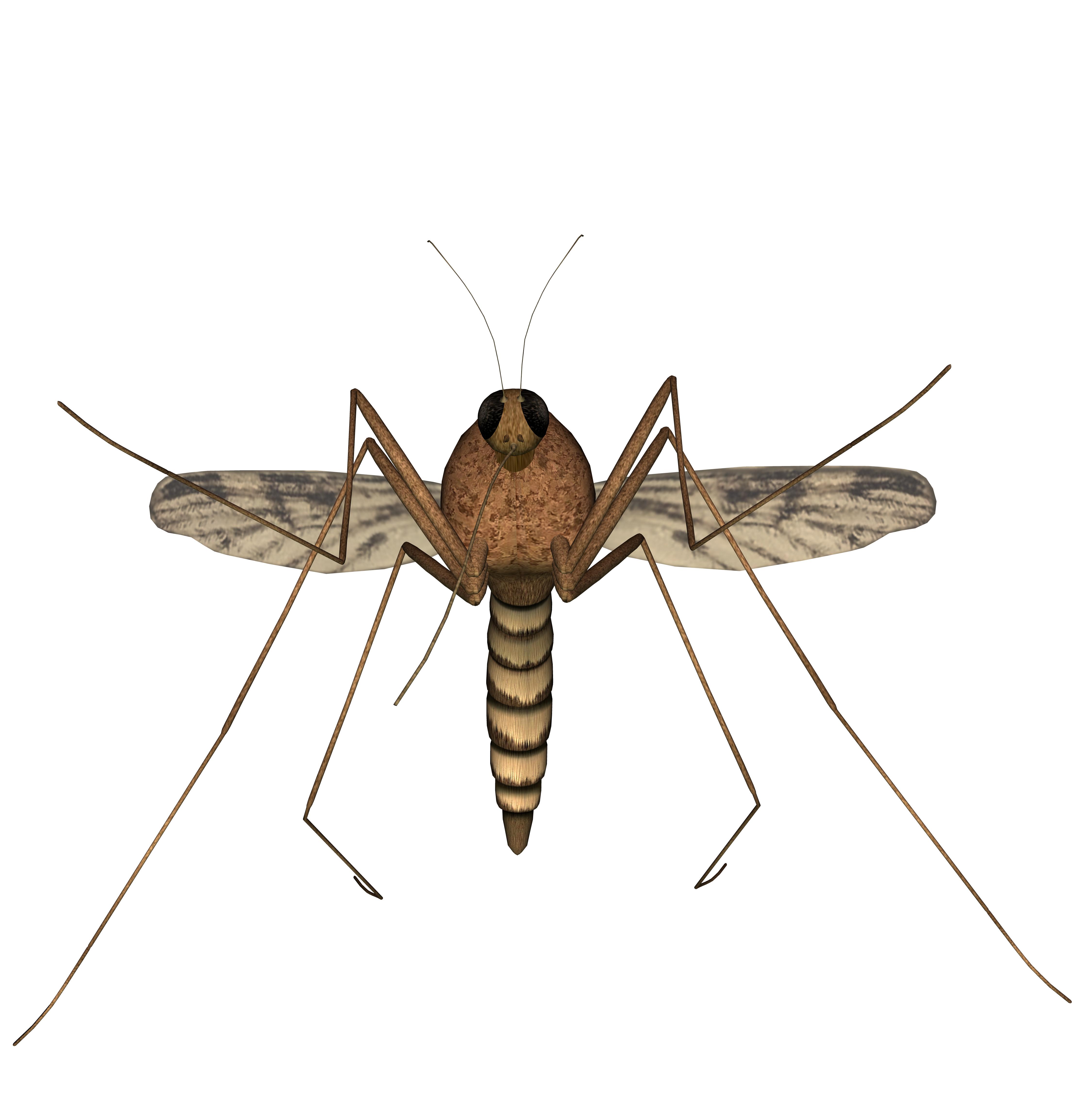 How to Treat Mosquito Bites with Aloe Vera