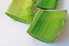 Why Aloe is Your Best bet for Good Health